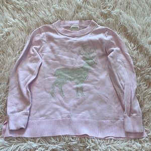 Crewcuts Girl’s Adorable Winter Sweater